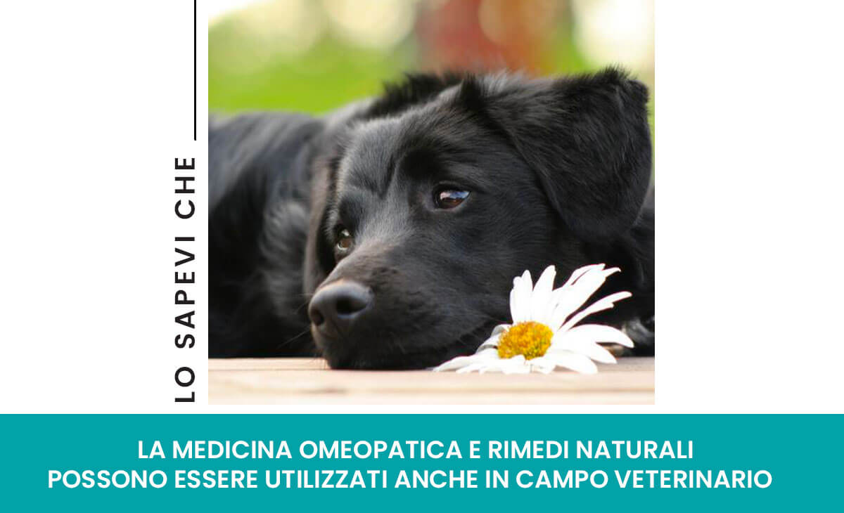 Omeopatia e natura in veterinaria