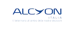 alcyon
