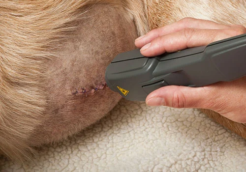 laserterapia