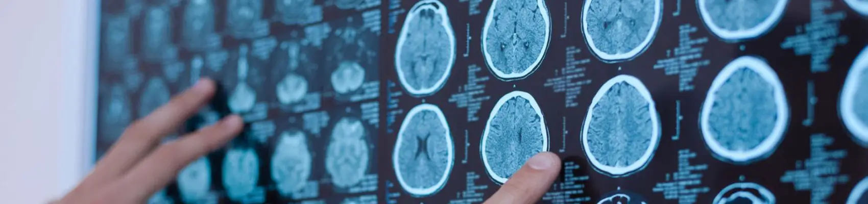 neurologia per cani e gatti