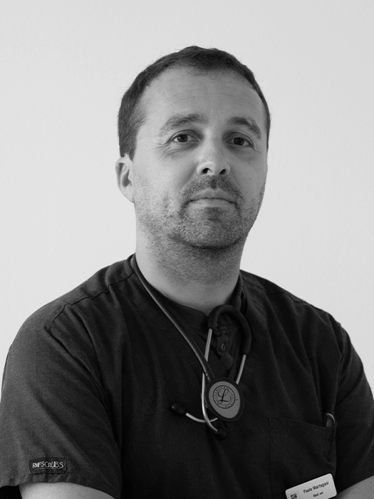 Martegani Paolo